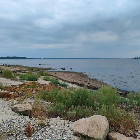 5 Person In Aabenraa-by Traum * אבנרה